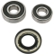 (image for) Rear Wheel Bearing and Seal Kit