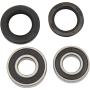 (image for) Rear Wheel Bearing and Seal Kit