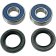 (image for) Wheel Bearing Kit 0215-0229