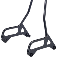 (image for) Exfil Sissy Bar (Black)