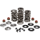 (image for) Racing Valve Spring Kit 0926-3349