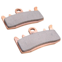 (image for) Front RDP Race Pad