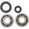 (image for) Main Bearing and Seal Kit - HONDA CR250R 92-07