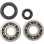 (image for) Main Bearing and Seal Kit - HONDA CR250R 92-07