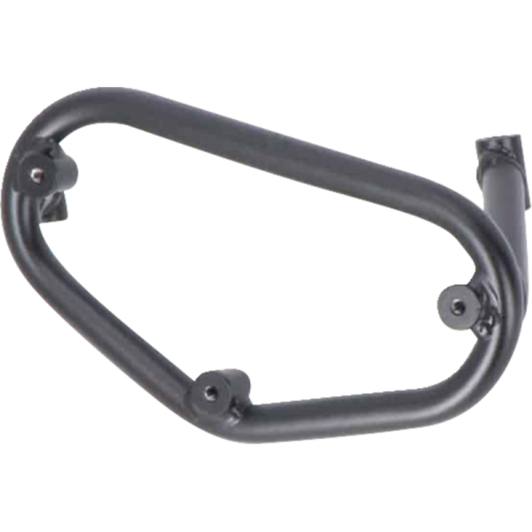 (image for) SW-MOTECH SLC Side Carrier - Left - BMW F 900 R