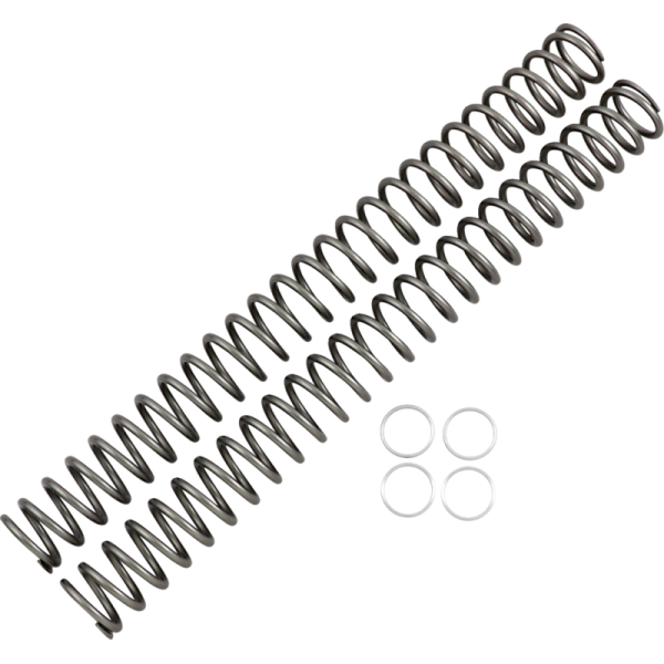 (image for) Race Tech Fork Spring 0405-0268