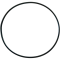 (image for) Pro Circuit Replacement O-Ring