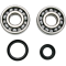(image for) Crank Bearing and Seal Kit - SUZUKI RM125 89-08
