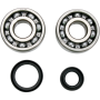 (image for) Crank Bearing and Seal Kit - SUZUKI RM125 89-08