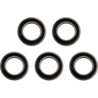 (image for) Factory Links Rear Bearing Pack (5-Pack)