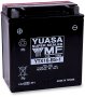 (image for) Yuasa AGM Maintenance-Free Battery YTX16-BS-1