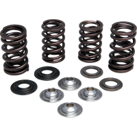 (image for) Lightweight Racing Valve Spring Kit