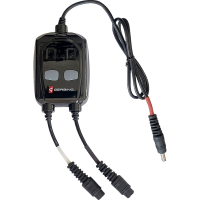 (image for) 12V dual wireless controller