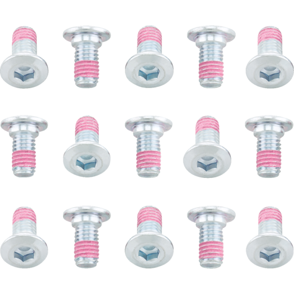 (image for) Rotor Bolt Kit - Kawasaki KLR650