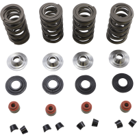 (image for) Racing Valve Spring Kit, 0.675" Lift, Titanium Retainers