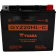(image for) Yuasa High-Performance Factory-Activated AGM Maintenance-Free Battery 2113-0975