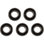 (image for) Rear Bearing Pack (Bearing 6004 2RS) - 5-Pack