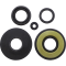 (image for) Engine Oil Seal Kit for Yamaha VK 540 M/N/P/R CR 88-91
