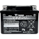 (image for) Yuasa YTZ Factory-Activated AGM Maintenance-Free Battery 2113-0976