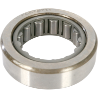 (image for) Inner Primary Bearing