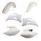 (image for) Acerbis Replacement Standard Kit - White