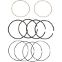 (image for) Replacement Ring Set - 3.875" (95") - +0.010"