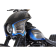 (image for) Arlen Ness Plain Fairing Kit