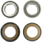 (image for) Pivot Works Steering Stem Bearing Kit - 0410-0130