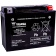 (image for) Yuasa AGM Battery YTX24HL