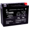 (image for) Yuasa High-Performance Factory-Activated AGM Battery YTX24HL
