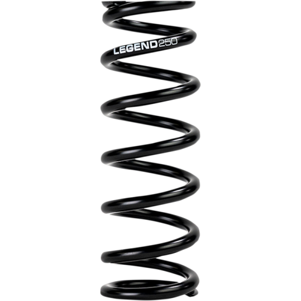 (image for) LEGENDS Legend/DBK Spring - Standard