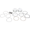 (image for) Piston Kit 113" Motor Std