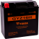 (image for) Yuasa GYZ Factory-Activated AGM Battery 2113-0296