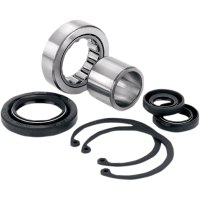 (image for) Inner Primary Bearing and Seal Kit (99-06 Twin Cam)