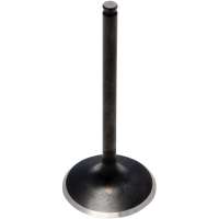 (image for) Black Diamond Exhaust Valve