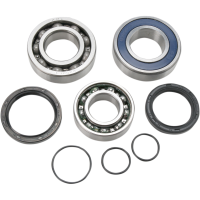 (image for) Jack Shaft Chain Case Bearing and Seal Kit