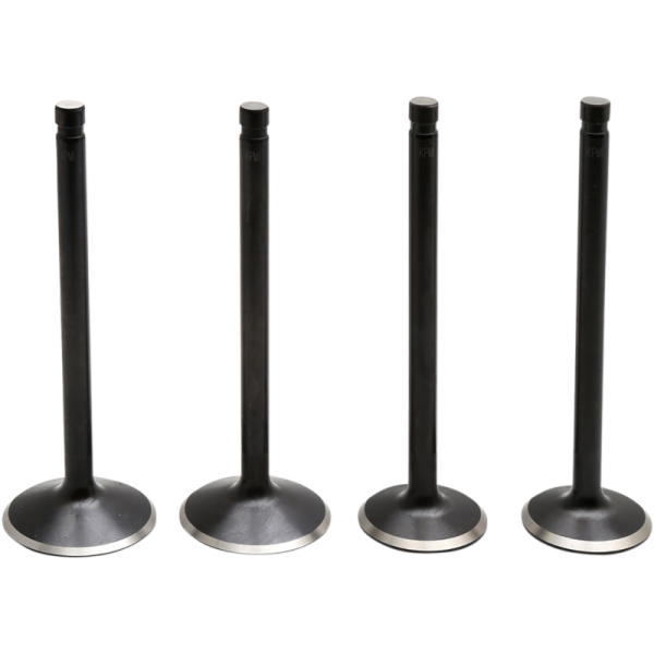 (image for) KIBBLEWHITE Black Diamond Valve Kit for XL