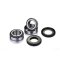 (image for) Rear Wheel Bearing Kit - BMW