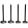 (image for) Black Diamond Valve Kit