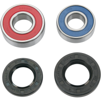 (image for) Front Wheel Bearing and Seal Kit
