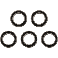 (image for) Factory Links OEM Series Front Bearing Pack - 5-Pack