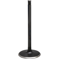(image for) Nitrided Intake Valve - 1.571" Head Dia