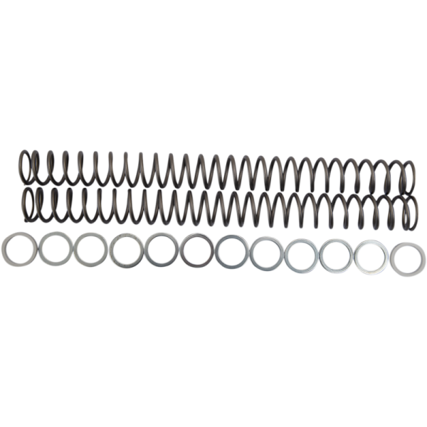 (image for) Race Tech Fork Spring 0405-0028