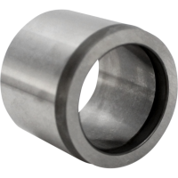 (image for) Inner Primary Mainshaft Bearing Race (07-17)