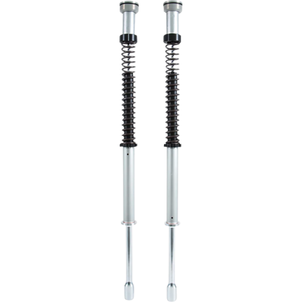 (image for) OHLINS Öhlins NIX 22 Fork Cartridge Kit - 0413-0189