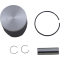 (image for) ProX Piston Kit - Std. 53.94 mm