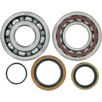 (image for) Crank Bearing and Seal Kit - KTM 200 XC-W 06-16
