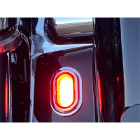 (image for) Plugz Antenna Grommet Lights - Red Lens, Chrome Trim