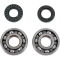 (image for) Crank Bearing and Seal Kit - YAMAHA YZ125X 20-24