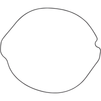 (image for) Vertex Outer Clutch Gasket Kit